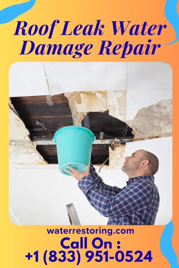 Roof Leak Water Damage Repair in Sapulpa, OK